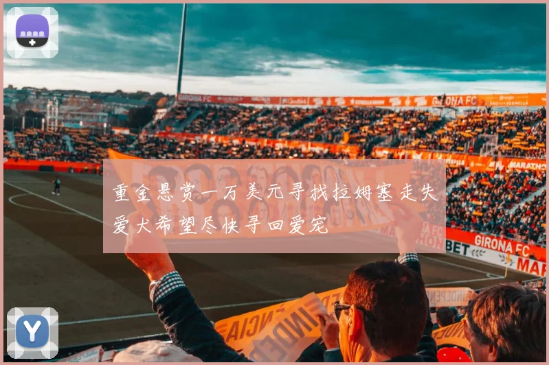 重金悬赏一万美元寻找拉姆塞走失爱犬希望尽快寻回爱宠