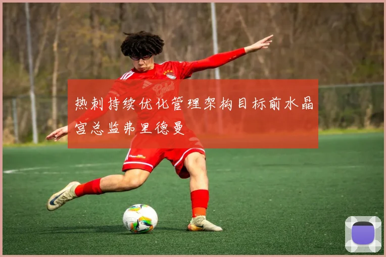 热刺持续优化管理架构目标前水晶宫总监弗里德曼