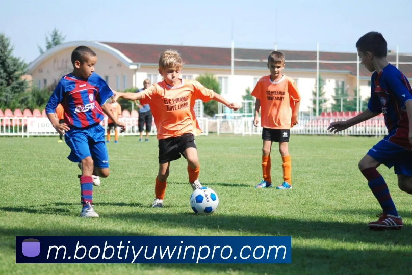 BOB体育服务体系